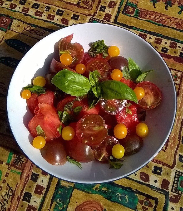 Heritage tomato salad with basil.  