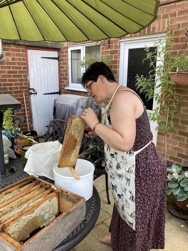Uncapping honey frames from the hive.
