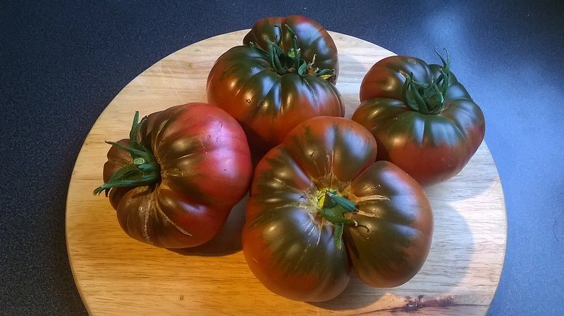 Dark Purple Beefsteak tomatoes.