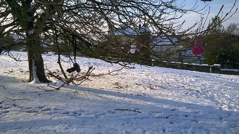 Horse Chestnut Holding Woolly Hats and Hot Drinks for Sledgers.