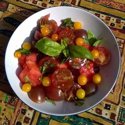 Mixed tomatoes including yellow currant and black cherry.