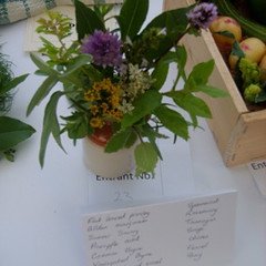 Herb entry in the village horticultural show.